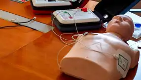 İpsala Sınır Kapısı'nda ASELSAN'ın Hayatı Kurtaran Cihazı!