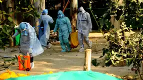 Meksika'da İlk İnsan Kuş Gribi (H5N1) Vakası