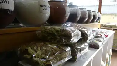 Ihlamur Fiyatları Çılgına Dönüyor!