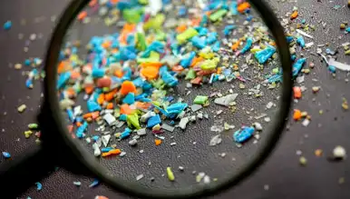 Beyinde Mikroplastik Birikimi Korkutuyor!