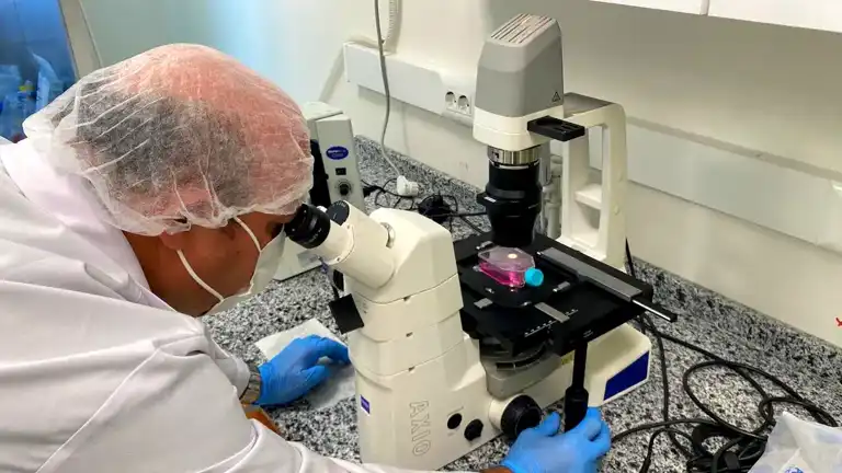 Beyin Kanseri Tedavisinde Devrim: Yeni Nano Molekül!
